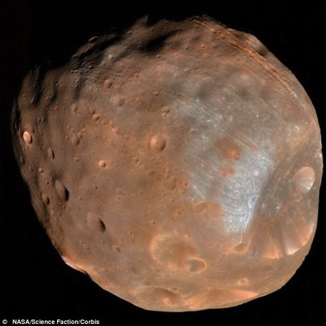 Mars is destroying its moon: Grooves on Phobos' surface hint that the red planet’s gravity is tearing it apart 11/3/15 - New Scientist Phobos Moon, Mars Moons, Mars Planet, Space Astronomy, Astronomy Pictures, Asteroid Belt, Nasa Mars, Hubble Telescope, Planets And Moons