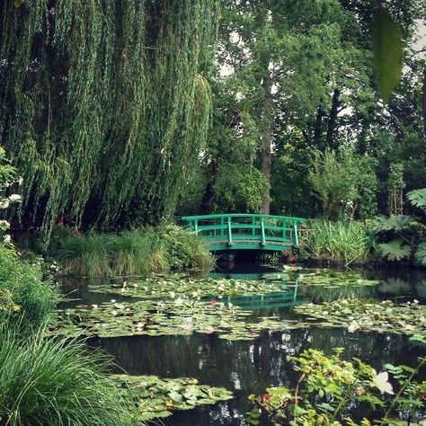 Claude Monet's Garden, Wattpad Background, Monet Water Lilies, Monet Art, Peaceful Place, Monet Paintings, Pond Design, Nature Garden, Environment Concept Art