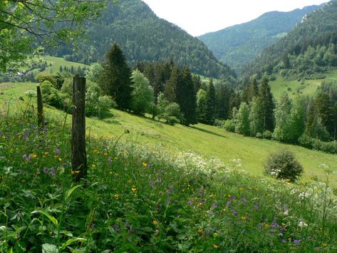 Chartreuse Massif, France 2007 P1070826r | wimbledonian | Flickr Aesthetic Nature, Spring Aesthetic, Aesthetic Collage, Nature Aesthetic, Pretty Places, Mother Earth, Pretty Pictures, Cottage Core, Beautiful World