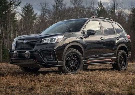 The 2022 Subaru Forester Wilderness will need more power for the additional weight for cargo and outdoor gear Lifted Forester, Subaru Forester Wilderness, Forester Wilderness, Subaru Forester Sport, Lifted Subaru, Subaru Forester Xt, Led Cube, Subaru Models, Subaru Cars