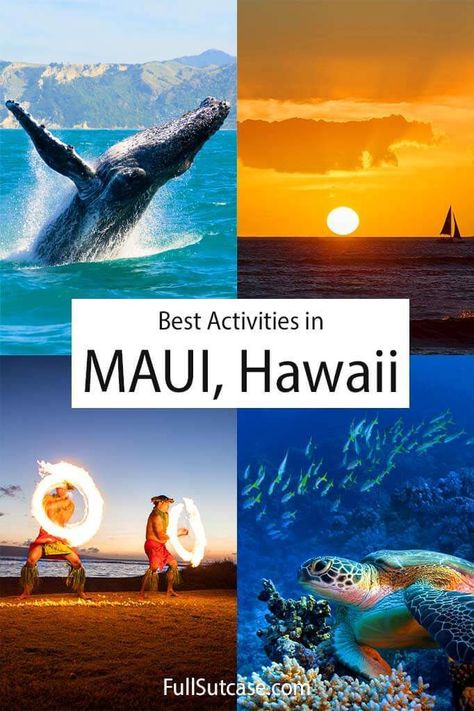 Maui Excursions, Whale Watching Maui, Maui Hawaii Honeymoon, Hawaii Bucket List, Haleakala Sunrise, Hawaii Trip Planning, Maui Activities, Maui Island, Hawaii Things To Do