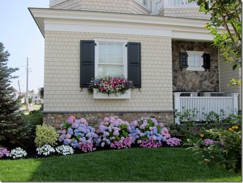 I may never have a shore-side home, but I can have hydrangeas!! They are everywhere in the little Lake Michigan beach towns! Landscaping Hydrangeas, Shed Landscaping, Hydrangea Landscaping, Front Flower Beds, Flower Bed Designs, Front Yards, House Landscaping, Front Landscaping, Casa Exterior