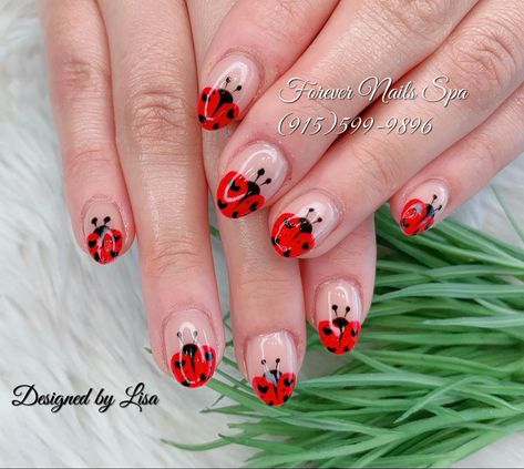 Ladybug Nail Design, Nail Art Ladybug, Ladybug Nails Designs, Bug Nails, Ladybug Nail Art, Moms Nails, Ladybug Nails, Bee Nails, Girls Nail Designs