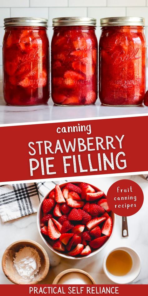 canned strawberries in jars and fresh strawberry slices in a bowl Canning Strawberry Pie Filling, Canning Desserts, Pie Filling Canning, Canning Fruit Recipes, Preserving Fruit, Water Bath Canning Recipes, Canned Strawberries, Canning Fruit, Strawberry Pie Filling