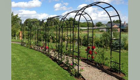 Garden Arches Ideas Backyards, Rose Arches Garden, Garden Arches Ideas, Arches Garden, Arches Design, Passion Fruit Plant, Garden Archway, Arch Decoration, Backyard Pavilion