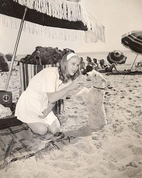 0 Andrea King on the beach with a dog in Shadow of a Woman (1946) Andrea King, Classic Actors, My Soul, A Dog, A Woman, The Beach, Actresses, Actors, Dogs