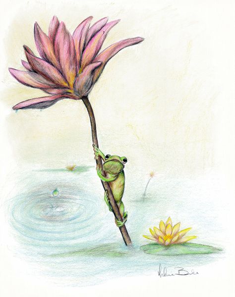 lily pad frog (colored pencil) www.etsy.com/shop/foxnowl Drawing Ideas Colored Pencil, Lily Pad Tattoo, Lily Pad Drawing, Van Gogh Tattoo, Frog On Lily Pad, Frog Sketch, Water Lily Tattoos, Lily Tattoo Design, Garden Tattoos