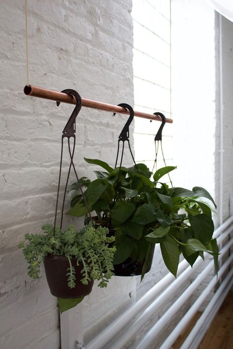 DIY Copper Bar Plant Holder Simple Greenhouse, Diy Copper, Plant Hanging, Copper Bar, Hanging Plants Indoor, Copper Decor, Hemma Diy, Diy Plant Hanger, Copper Diy