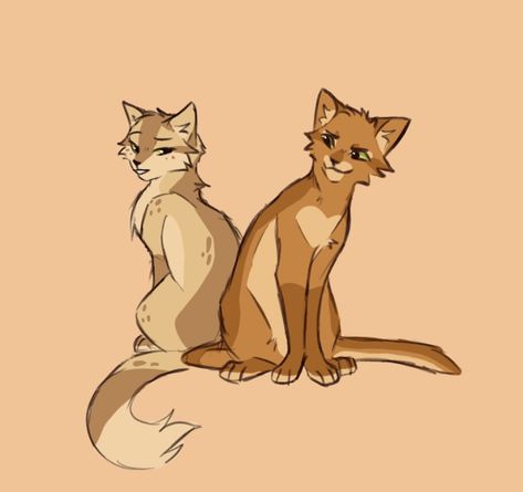 Firestar And Sandstorm, Cat Expressions, Warrior Cats Books, Cat Anatomy, Warrior Cats Fan Art, Warrior Cat Drawings, Warrior Cat Oc, Cat Oc, Warrior Cats Art