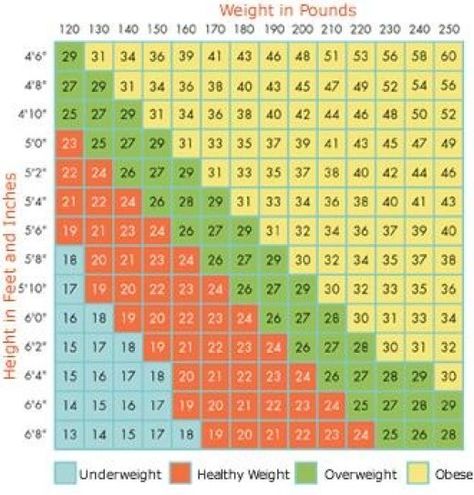 A good thing to know! Bmi Chart For Women, Bmi Chart, Weight Charts For Women, Weght Loss, Thick Shoes, People Judge, Weight Chart, Food Chart, Weight Charts