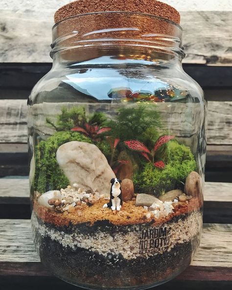 These Artists Make Little Ecosystems In Glass Containers (88 Pics) Terrarium Scene, Taman Air, Terrarium Jar, Beautiful Terrariums, Mini Terrarium, Moss Terrarium, Bottle Garden, Succulent Gardening, Terrarium Diy