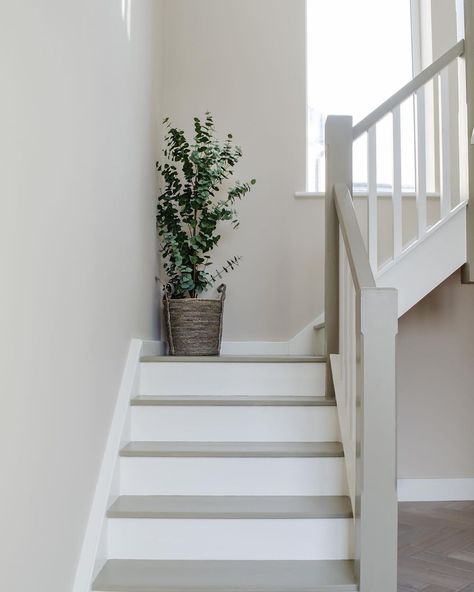 @geri_designs posted on their Instagram profile: “Very simple image from a recent new build design, but it’s pinned a lot on Pinterest - I guess it’s…” Stairs Painted White, Grey Painted Stairs, Stairs Makeover Ideas, Stairs Colours, White Beadboard, Stair Makeover, Build Design, Stair Remodel, Painted Stairs