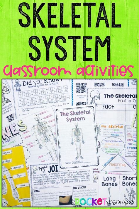 All things Skeletal System for elementary kids! Skeletal System Activities, The Skeletal System, 2nd Grade Writing, Skeletal System, Educational Board, Resource Library, Strong Body, Skeletal, Elementary Classroom