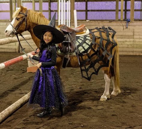 Horse And Rider Halloween Costumes Diy, Horse And Rider Halloween Costumes, Halloween Costumes For Horses And Rider, Horse Costumes For Horses, Horse And Rider Costume Ideas, Horse And Rider Costumes, Horse Costume Ideas, Horse Halloween Ideas, Horse Fancy Dress