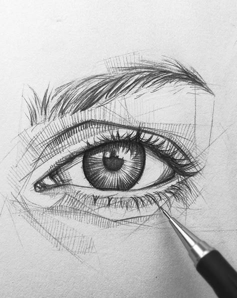 Drawing Eyes, Fox Tattoo, Sketch Artist, Sketchbook Drawings, Art Sketches Pencil, Portrait Sketches, Art Drawings Sketches Creative, Pencil Art Drawings, Realistic Drawings