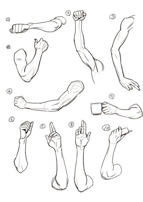 Arm Anatomy, Arm Drawing, Drawing Lesson, Body Drawing Tutorial, Human Anatomy Drawing, Hand Drawing Reference, Hand Reference, Body Reference Drawing, 인물 드로잉