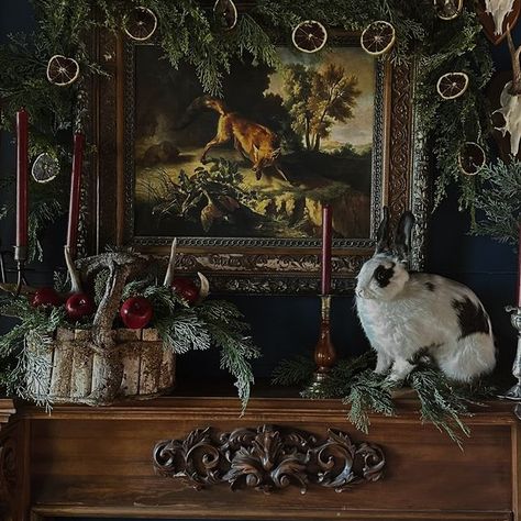 We call it “Houselander” 💙 And we’re talking all about it on this week’s episode of @droughtlanderdiariespodcast , available to stream… | Instagram Dark And Moody Christmas, Burgundy Candles, Moody Christmas, Winter Witch, Black Berries, Fairytale Decor, Witch Vibes, Quaint Cottage, Making Spirits Bright