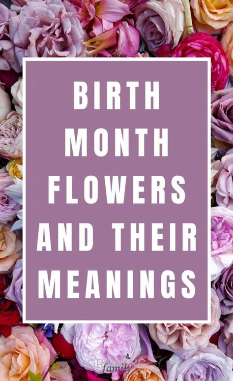 Birth Month Flower Meanings, Flower For March Birth Month, Flower Of May Month, March Birth Flower Meaning, Birth Flowers In Color, Multiple Birth Month Flower Tattoos, Flower Tattoo And Their Meaning, Flower Of The Month Chart, Different Tattoo Flowers