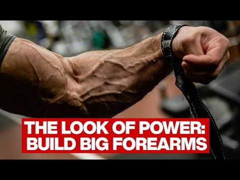 Forearm Exercises, Forearm Training, Mass Workout, Big Forearms, Reverse Curls, Forearm Muscles, Forearm Workout, Advanced Workout, Free Coaching