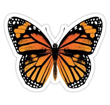 Monarch Butterfly Sticker Vintage Butterflies, Butterfly Vintage, Monarch Butterfly, Orange Black, Insects, Butterflies, Black And White, Orange, For Sale