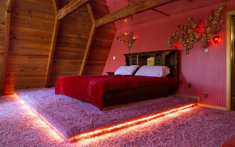 Hicksville Pines, Romantic Airbnb, Circle Bed, Theme Hotel, Glass Cabin, A Frame Cabins, Airbnb Rentals, Honeymoon Suite, Romantic Room