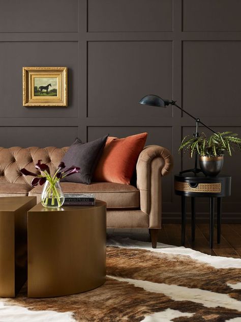 Best Brown Paint Colors, All Shades Of Brown, Popular Neutral Paint Colors, Fall Paint Colors, Brown Paint Colors, Taupe Paint, Black Paint Color, Accent Wall Colors, Trending Paint Colors