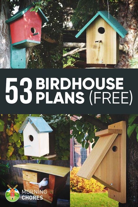 53 DIY Bird House Plans that Will Attract Them to Your Garden Birdhouse Plans, Bird House Plans Free, Bird Feeder Plans, Homemade Bird Houses, Bird Houses Ideas Diy, Bird House Feeder, Bird House Plans, Bird House Kits, Jardim Diy