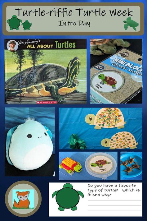 Get ready for a shell-ibrating adventure with "Turtle-riffic Turtle Week: Intro Day". Submerge yourself in imaginative crafts, fun activities, engaging books, and stimulating writing prompts that make learning fun. Embrace the fascinating world of turtles, right from the comfort of your home! Click here to check out our ideas! Turtle Stem Activities, Tucker Turtle Activities, Turtle Day Activities, The Box Turtle Book Activities, Turtle Science Activities, Pictures Of Turtles, Turtle Activities, Types Of Turtles, Freshwater Turtles