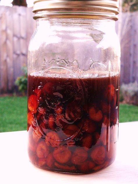 dried cherry bourbon Boozy Cherries, Infused Alcohol Recipes, Cherry Bourbon, Infused Liquors, Bourbon Recipes, Homemade Liquor, Cherry Brandy, Cherry Liqueur, Liqueurs Recipes