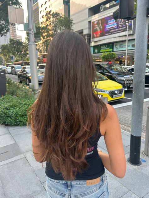 long layers haircut Long Straight Hair Long Layers, Haircuts For Long Hair Without Bangs, Long Hair With Slight Layers, Soft Layers For Long Hair, Chunky Layers Long Hair Straight, Long Layered Haircuts Brown Hair, Long Haired Layers, Long Layers On Brown Hair, Long Hairstyles Cuts Haircuts