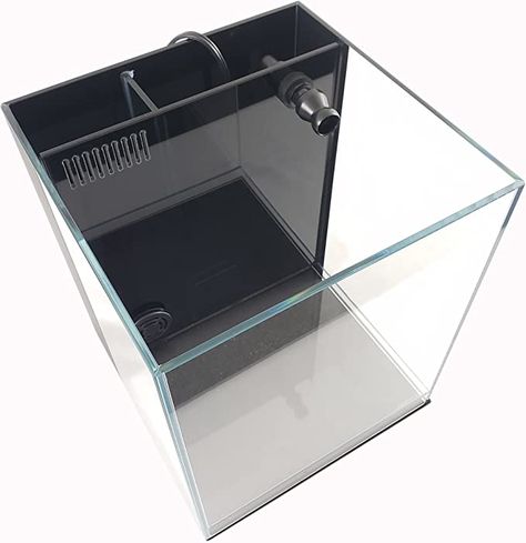 Amazon.com: LIFEGARD Low Iron Ultra Clear Crystal Aquarium with Built in Filter – Rimless Glass, Beveled Edge, Elevated Style – Direct Jet Flow – 8.3 GPH : Everything Else Aqua Tank, Amazing Aquariums, Glass Aquarium, Aquarium Filter, Small Tank, Reef Tank, Elevated Style, Saltwater Aquarium, Aquarium Fish Tank