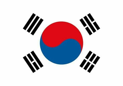 Wall Peper, American Flag Pictures, South Korean Flag, Cambodia Flag, South Korea Flag, Korean Flag, Crazy Nail Designs, Information Board, Countries And Flags