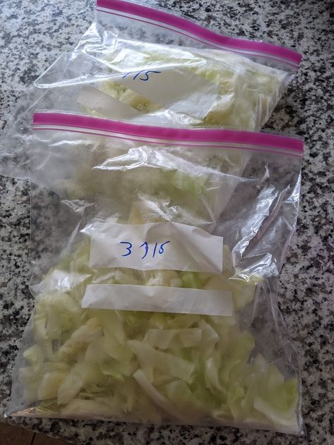 Best Way to Freeze Cabbage » The Martha Review Can Cabbage Be Frozen, Storing Cabbage In Fridge, Freezing Cabbage Without Blanching, How To Freeze Cabbage Without Blanching, Cabbage Freezing, How To Freeze Cabbage, Freezing Cabbage, Fried Cabbage Recipes, Kielbasa And Cabbage