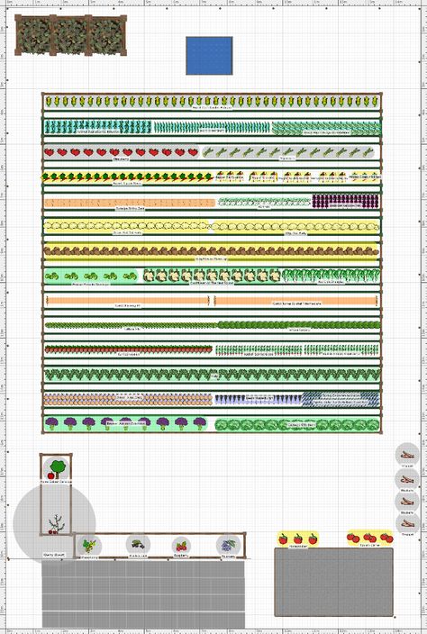 Garden Setup, Autumn Calabrese, Raspberry Rhubarb, Asparagus Beans, Allotment Gardening, Window Plants, North Holland, Garden Plan, Market Garden