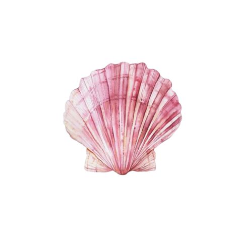 Pink Shell Aesthetic, Pink Malibu Aesthetic, Aesthetic Pink Pictures For Widgets, Ipad Pink Widget, Girly Widgetsmith Ideas, Pink Shell Wallpaper, Pink Wigets Pictures, Widget Ideas Summer, Graphic Tee Print Png