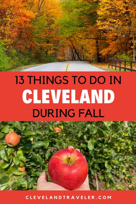 Things To Do In Cleveland Ohio, Things To Do In Cleveland Ohio Fall, Cleveland Things To Do, Things To Do Near Cleveland Ohio, Fall Festivals In Ohio, East Cleveland Ohio, Football Merch, Hot In Cleveland, Ohio Attractions