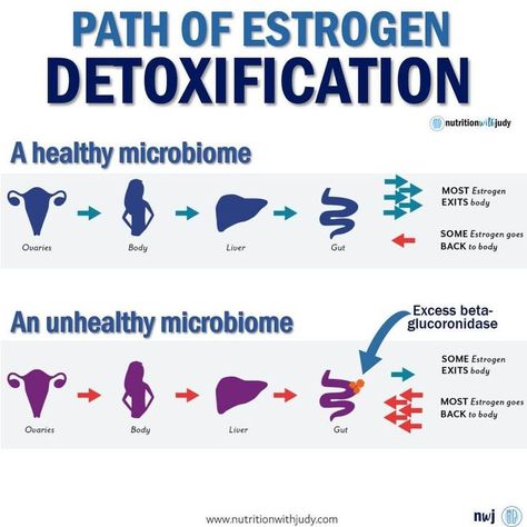 We focus on hormones. If progesterone is low, we focus on increasing progesterone. If our estrogen is high, we focus on lowering estrogen. ⚠️For most, it’s a band-aid. 🥀Many imbalances start in the gut. This is WHY I focus on gut health for root-cause healing. 🧪We need to make sure and have enough stomach acid. Not enough stomach acid will have less nutrients for your hormones and also risk autoimmune if gut imbalances proliferate... High Estrogen, Increase Progesterone, Low Progesterone, Hormone Nutrition, Gut Imbalance, Too Much Estrogen, Healthy Microbiome, Holistic Diet, Holistic Health Remedies