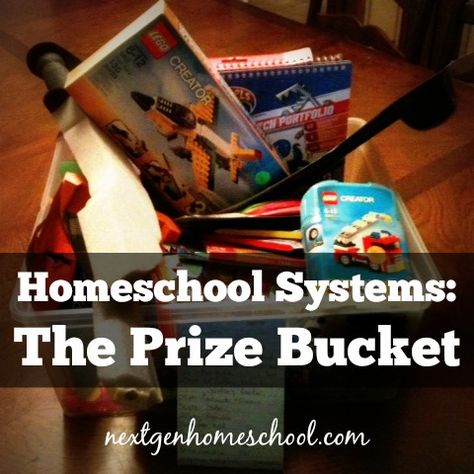 HomeschoolSystemsPrizeBucket Homeschool Prize Box Ideas, Homeschool Treasure Box Ideas, Prize Box, Homeschooling Tips, Clip Chart, Homeschool Tips, Homeschooling Ideas, Reward System, Homeschool Planning