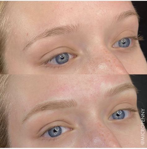 Micro Blading Eyebrows Blonde, Blonde Henna Brows, Blonde Hair Microblading Eyebrows, Blonde Brow Tint, Ombre Powder Brows Blonde, Microblading For Blondes, Tatooed Eye Brows, Blonde Powder Brows, Taupe Eyebrows