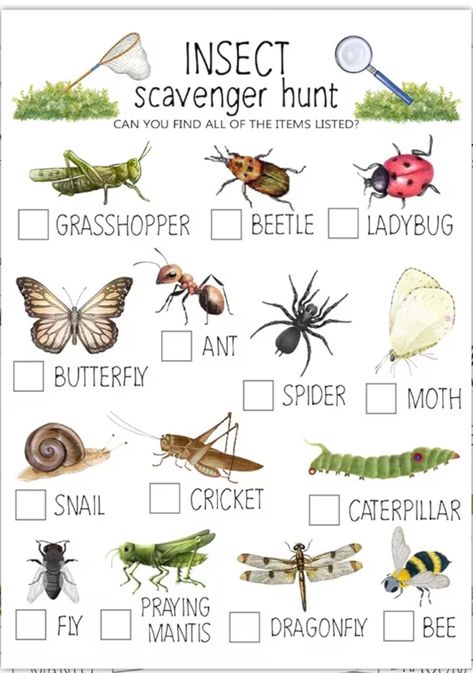 Bug Games For Kids, Teaching Sustainability, Insects For Kids, Bug Games, Gardening Club, Bug Hunt, Insect Activities, Nature Education, Elementary Learning