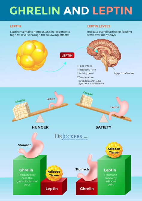 Leptin Diet, Leptin And Ghrelin, Human Growth Hormone, Leptin Resistance, Adipose Tissue, High Fat Diet, Chronic Inflammation, Growth Hormone, Insulin Resistance