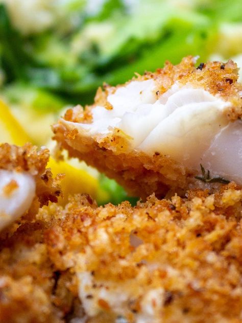 A buttery golden brown panko crust crowns this crispy baked fish for a quick and easy weeknight dinner. A perfect fish recipe for people who don't like fish. And for those who do too. Choose any mild white fish and a sauce or condiment you like best - we have lots of suggestions. Breaded Baked Fish, Easy Baked Fish Recipes, Breaded Fish Recipe, Oven Fried Fish, Baked Haddock, Haddock Recipes, White Fish Recipes, Fish Recipes Baked, Baked Fish Recipes