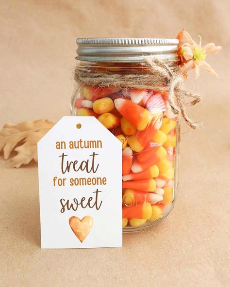 Celebrate fall with these 8 printable fall gift tags! These beautiful gift and favor tags for fall will add a special touch to all your diy gifts, fall favors, thanksgiving hostess gifts, and more! Thanksgiving Teacher Gift Ideas Diy, Thanksgiving Hostess Gifts, Fall Favors, Fall Gift Tags, Thanksgiving Teacher Gifts, Fall Favor, Hostess Gifts Thanksgiving, Thanksgiving Hostess, Free Fall Printables