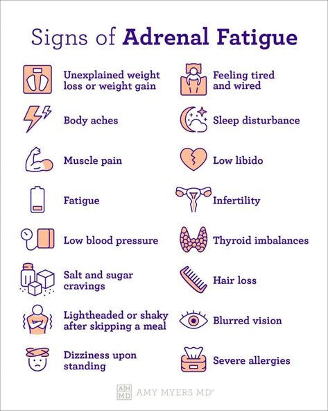 Signs Of Adrenal Fatigue, Adrenal Fatigue Symptoms, Thyroid Imbalance, Amy Myers, Adrenal Support, Addisons Disease, Adrenal Health, Fatigue Syndrome, Adrenal Glands