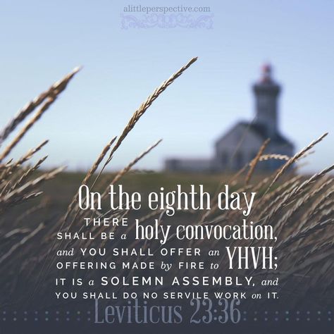 The Eighth Day of Assembly - The Next Biblical Feast Day Friday evening begins the final holiday of the fall Holy Day season, which is the 8th Day of Assembly. A special day of sabbath rest, and assembly, and dedication to the Lord God, was to follow the seven- day Feast of Tabernacles on the 8th Day (according to Lev 23 and Num 29). alittleperspective.com/8th-day-of-assembly-2/ #8thDay #HighHolyDays #FeastsOfYHVH Shemini Atzeret, Leviticus 23, Biblical Feasts, Matthew Mark Luke John, Romans 1, Sabbath Rest, Feast Of Tabernacles, Special Friend Quotes, Bible Things