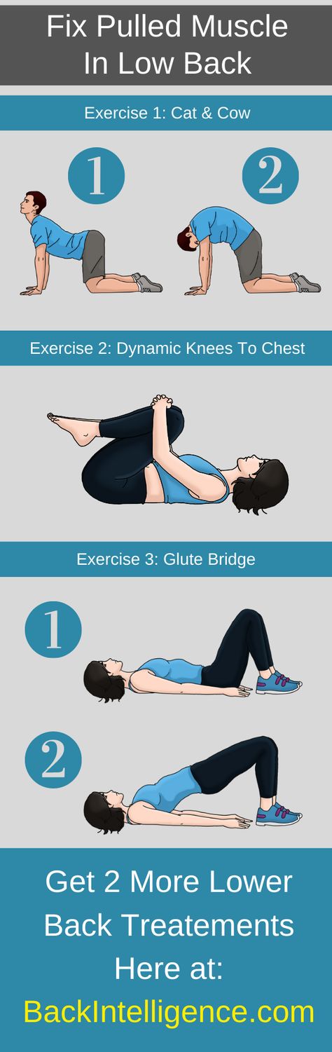 A pulled muscle in the lower back can make everyday activities, such as sleeping and working, extremely difficult. Luckily, most pulled muscles heal fairly quickly and there are a number of treatments that you can try to help speed up the healing process. While you can pull the upper back too, this article will focus on lower back pulled muscle. Click to continue reading on our website! Stretches For Pulled Back Muscle, Back Muscle Exercises, Low Back Exercises, Muscle Exercises, Back Muscle, Lower Back Muscles, Upper Back Pain, Lower Back Exercises, Glute Bridge