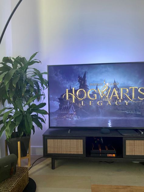 Ps5 Hogwarts Legacy, Hog Warts Legacy, Hogwarts Legacy Game, Inside Hogwarts, Hogwarts Legacy Aesthetic, Silently Screaming, Hogwarts Game, Hogwart Legacy, Ig Store