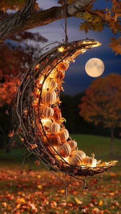 Fall Lights Aesthetic, Magical Halloween Decor, Rustic Fall Porch, Outdoor Decor Ideas, 3d Portrait, Fall Decorating Ideas, Rainy Day Aesthetic, Autumn Magic, Crafts Decor