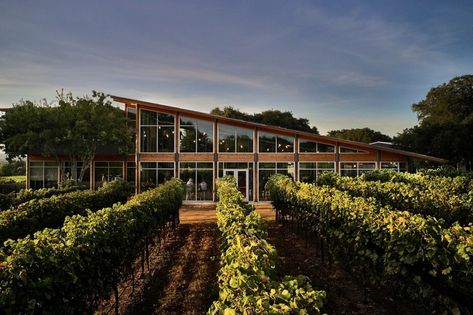 Sensational Wines Located in the Lone Star State - 405 Magazine Texas Winery, Texas Wineries, California Vineyards, Fredericksburg Texas, Texas Hills, Outdoor Patio Space, Wine Trail, Texas Hill Country, Wine Region