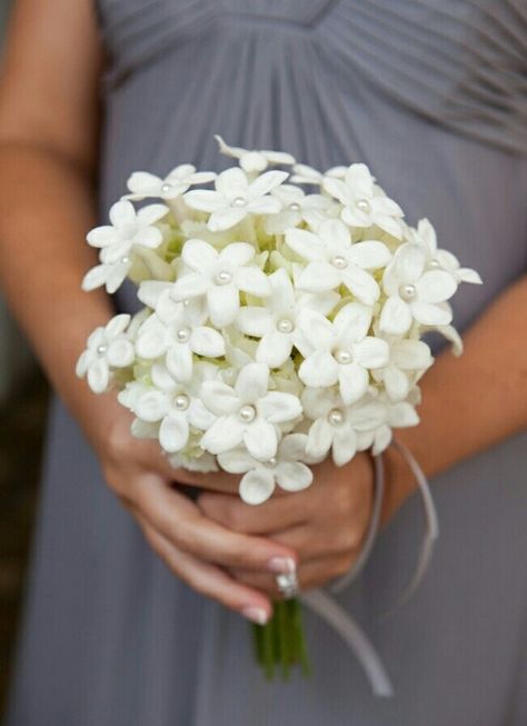 Bridesmaid's Simple Posy Of: White Stephanotis (Madagascar Jasmine) Stephanotis Bouquet, Flower Girl Bouquet, Hand Flowers, Palm Springs Wedding, Wedding Flower Inspiration, White Wedding Flowers, Bridesmaid Flowers, Bride Bouquets, Bridal Flowers